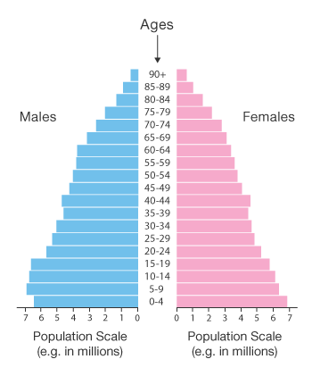人口金字塔
